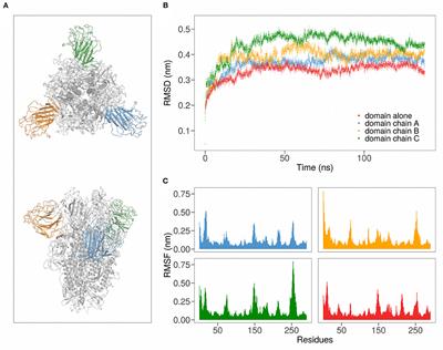 Exploring the Association Between Sialic Acid and SARS-CoV-2 Spike Protein Through a Molecular Dynamics-Based Approach
